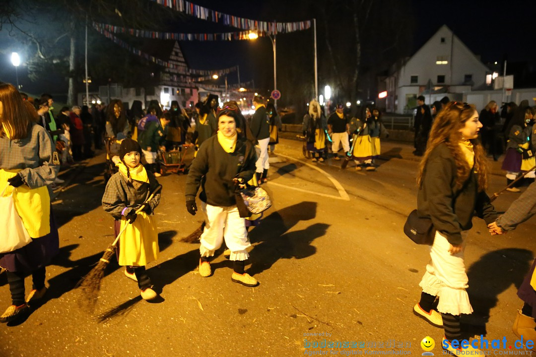 40 Jahre Urviecherzunft - Umzug: Bad Duerrheim, 16.02.2019