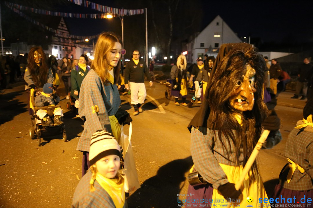 40 Jahre Urviecherzunft - Umzug: Bad Duerrheim, 16.02.2019