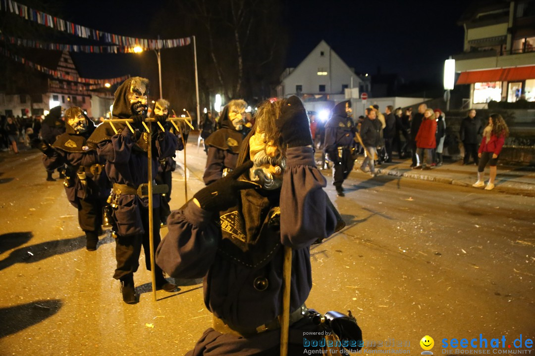 40 Jahre Urviecherzunft - Umzug: Bad Duerrheim, 16.02.2019