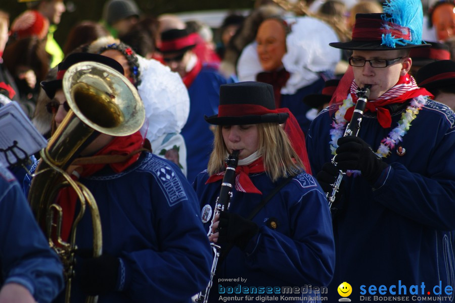 Narrenumzug: Villingen, 16.02.2010