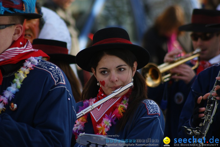 Narrenumzug: Villingen, 16.02.2010