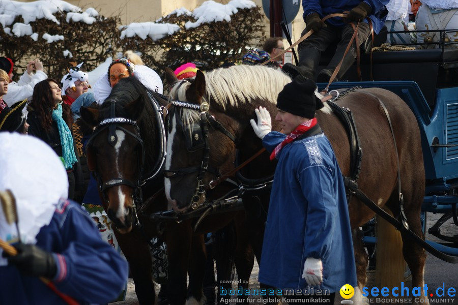 Narrenumzug: Villingen, 16.02.2010