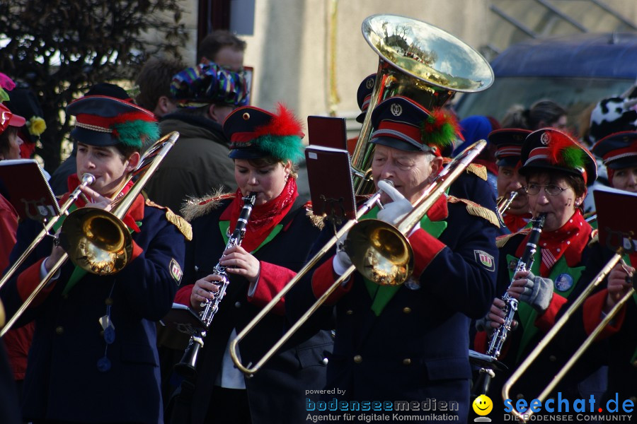 Narrenumzug: Villingen, 16.02.2010