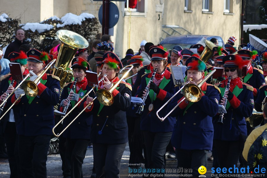 Narrenumzug: Villingen, 16.02.2010