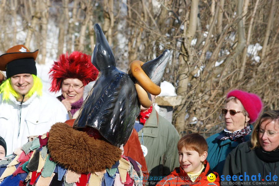 Narrenumzug: Villingen, 16.02.2010