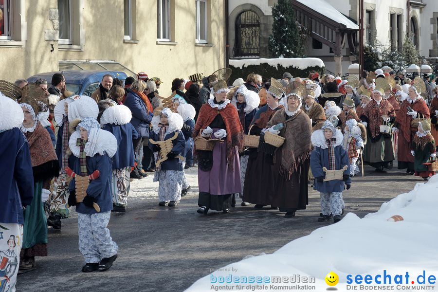 Narrenumzug: Villingen, 16.02.2010