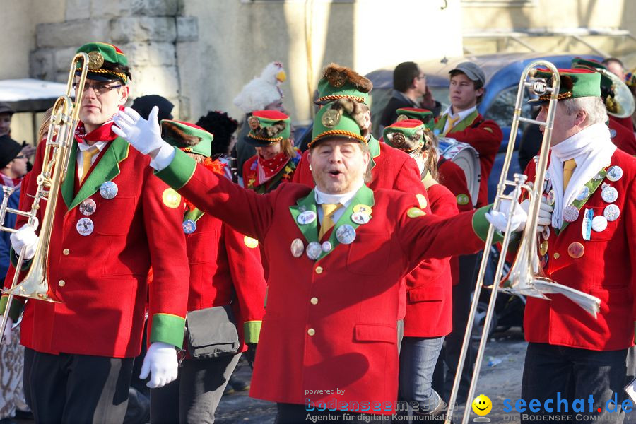 Narrenumzug: Villingen, 16.02.2010