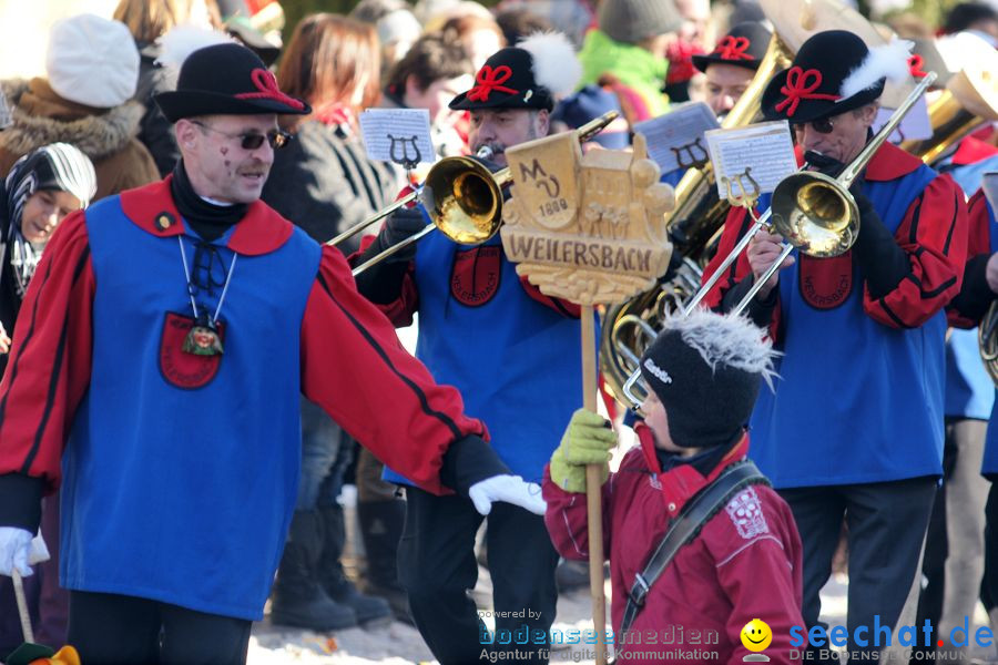 Narrenumzug: Villingen, 16.02.2010