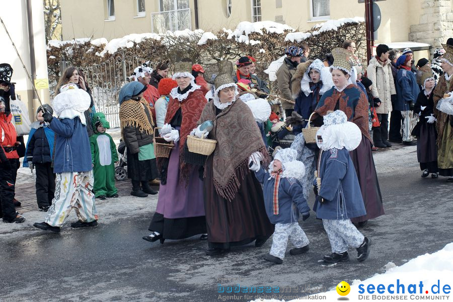 Narrenumzug: Villingen, 16.02.2010