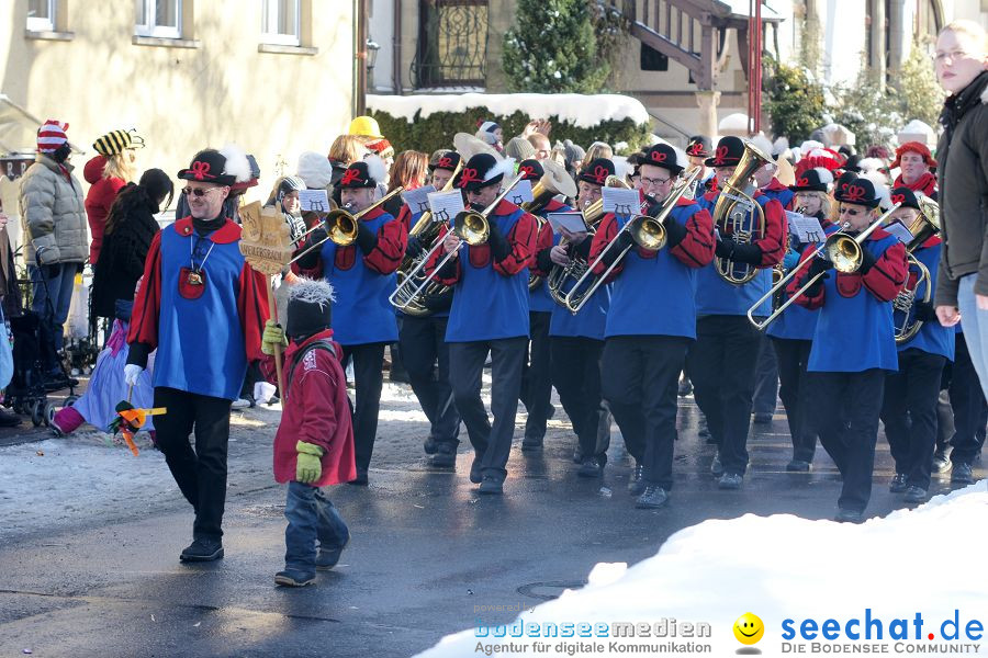 Narrenumzug: Villingen, 16.02.2010