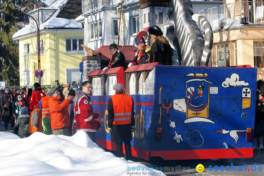 Narrenumzug: Villingen, 16.02.2010