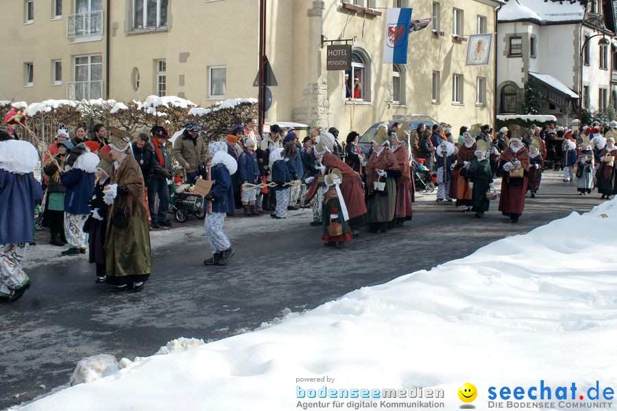 Narrenumzug: Villingen, 16.02.2010