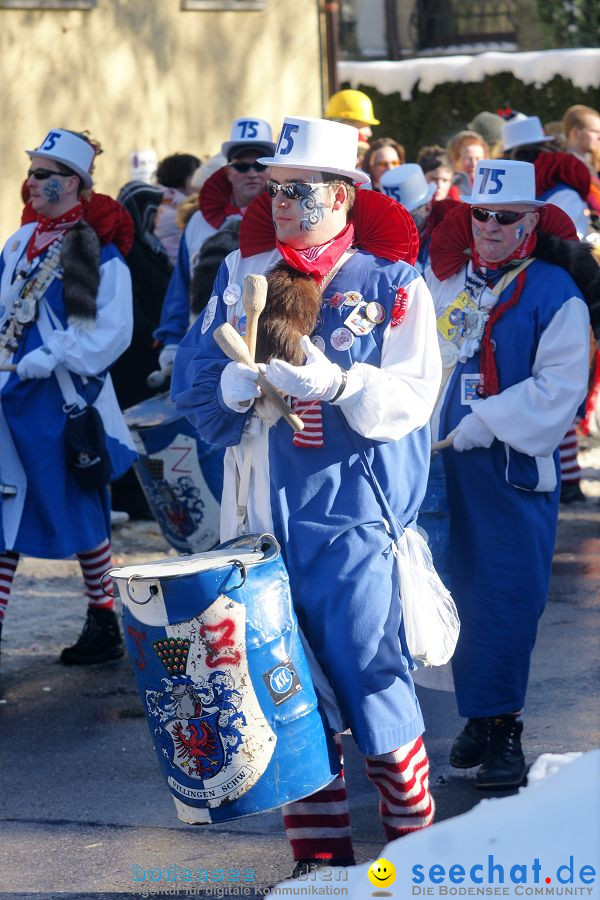 Narrenumzug: Villingen, 16.02.2010