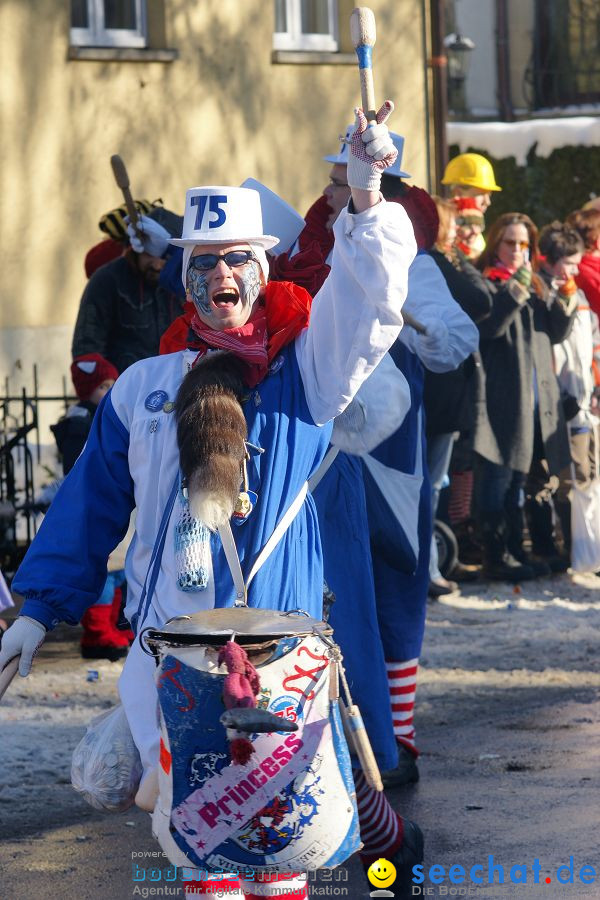 Narrenumzug: Villingen, 16.02.2010