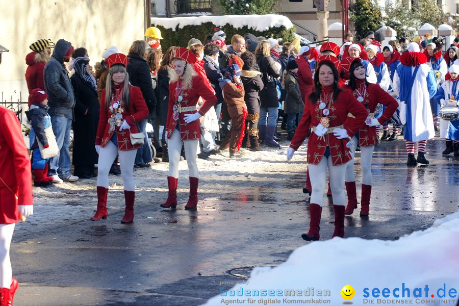 Narrenumzug: Villingen, 16.02.2010