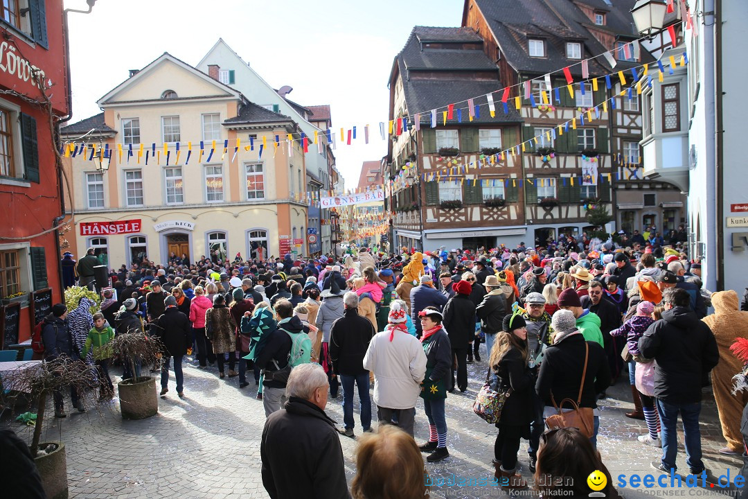 Fasnetsumzug mit Narrenbaumstellen: Meersburg am Bodensee, 24.02.2019