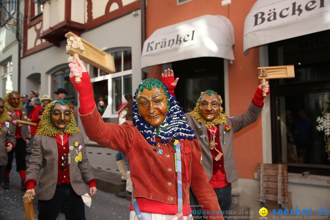 Fasnetsumzug mit Narrenbaumstellen: Meersburg am Bodensee, 24.02.2019