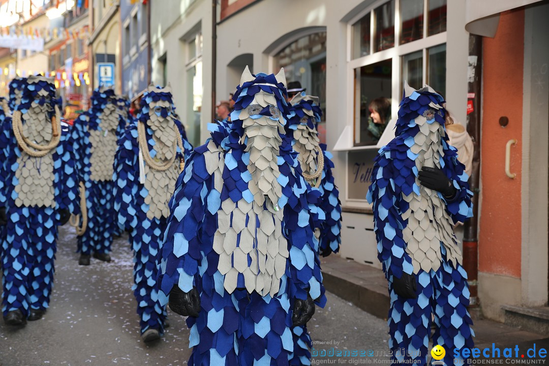 Fasnetsumzug mit Narrenbaumstellen: Meersburg am Bodensee, 24.02.2019