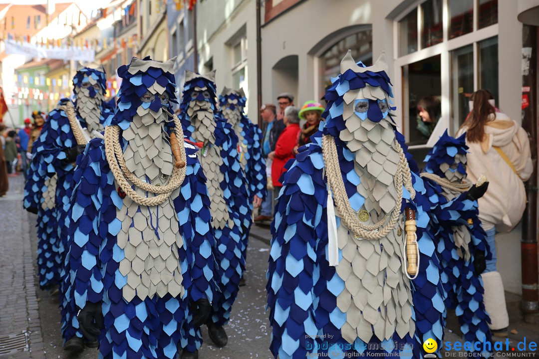 Fasnetsumzug mit Narrenbaumstellen: Meersburg am Bodensee, 24.02.2019