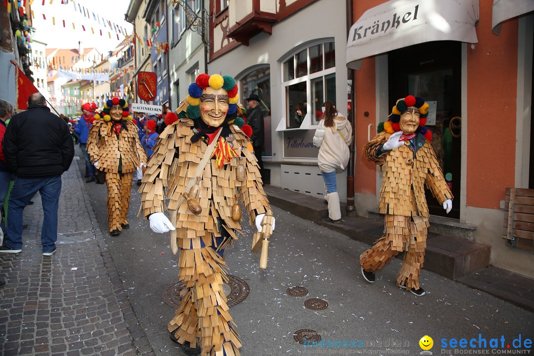 Fasnetsumzug mit Narrenbaumstellen: Meersburg am Bodensee, 24.02.2019