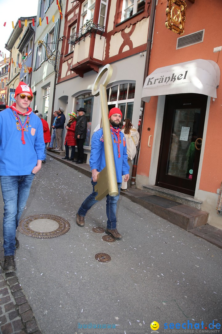 Fasnetsumzug mit Narrenbaumstellen: Meersburg am Bodensee, 24.02.2019