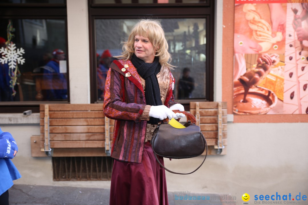 Fasnetsumzug mit Narrenbaumstellen: Meersburg am Bodensee, 24.02.2019