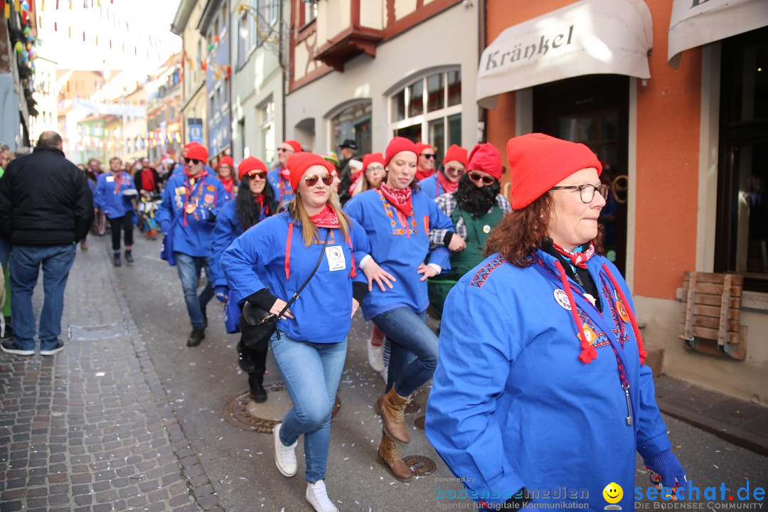 Fasnetsumzug mit Narrenbaumstellen: Meersburg am Bodensee, 24.02.2019