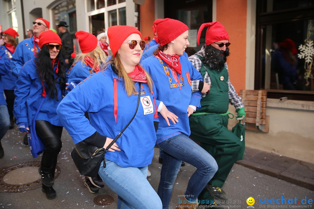 Fasnetsumzug mit Narrenbaumstellen: Meersburg am Bodensee, 24.02.2019