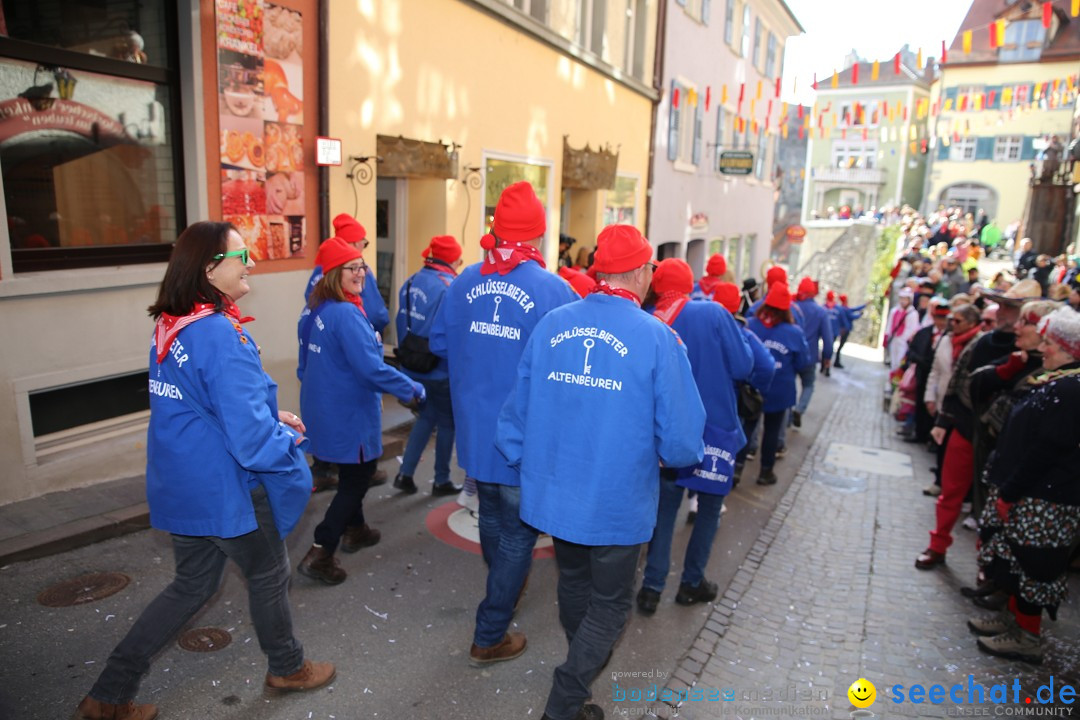 Fasnetsumzug mit Narrenbaumstellen: Meersburg am Bodensee, 24.02.2019