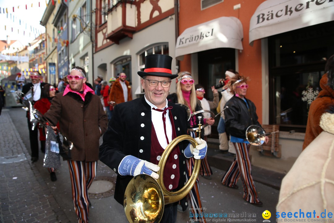 Fasnetsumzug mit Narrenbaumstellen: Meersburg am Bodensee, 24.02.2019