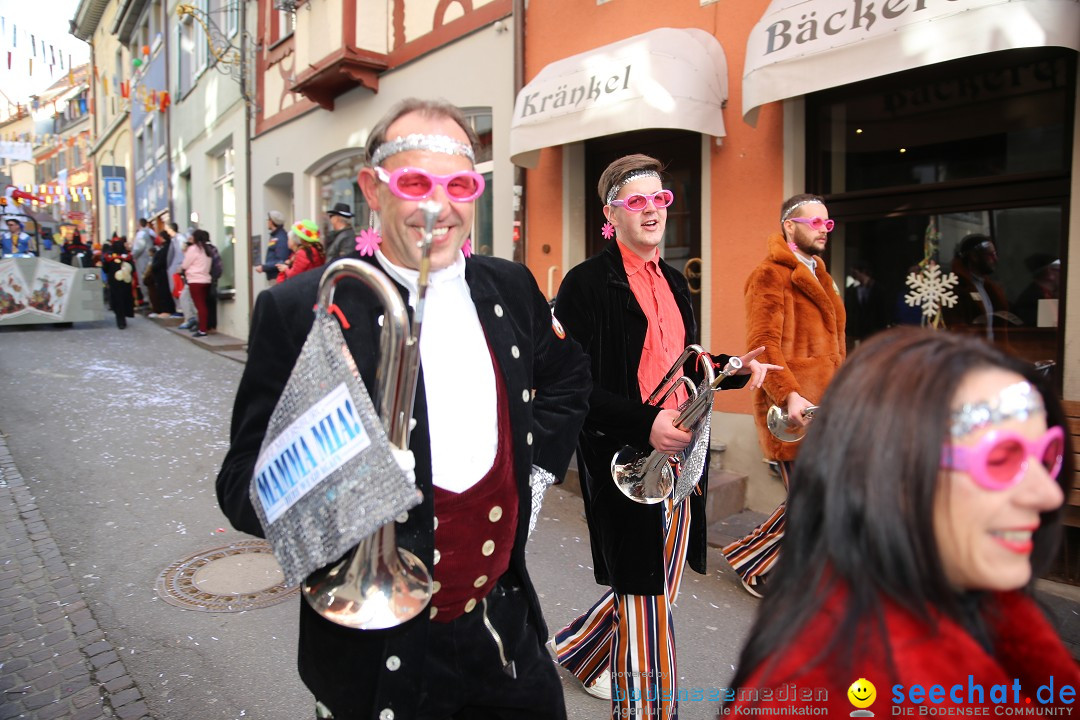 Fasnetsumzug mit Narrenbaumstellen: Meersburg am Bodensee, 24.02.2019