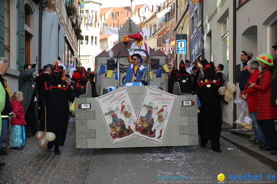 Fasnetsumzug mit Narrenbaumstellen: Meersburg am Bodensee, 24.02.2019