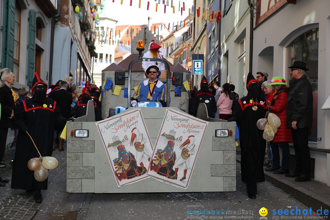 Fasnetsumzug mit Narrenbaumstellen: Meersburg am Bodensee, 24.02.2019