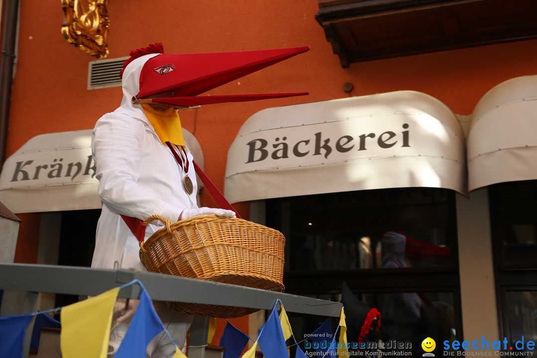 Fasnetsumzug mit Narrenbaumstellen: Meersburg am Bodensee, 24.02.2019