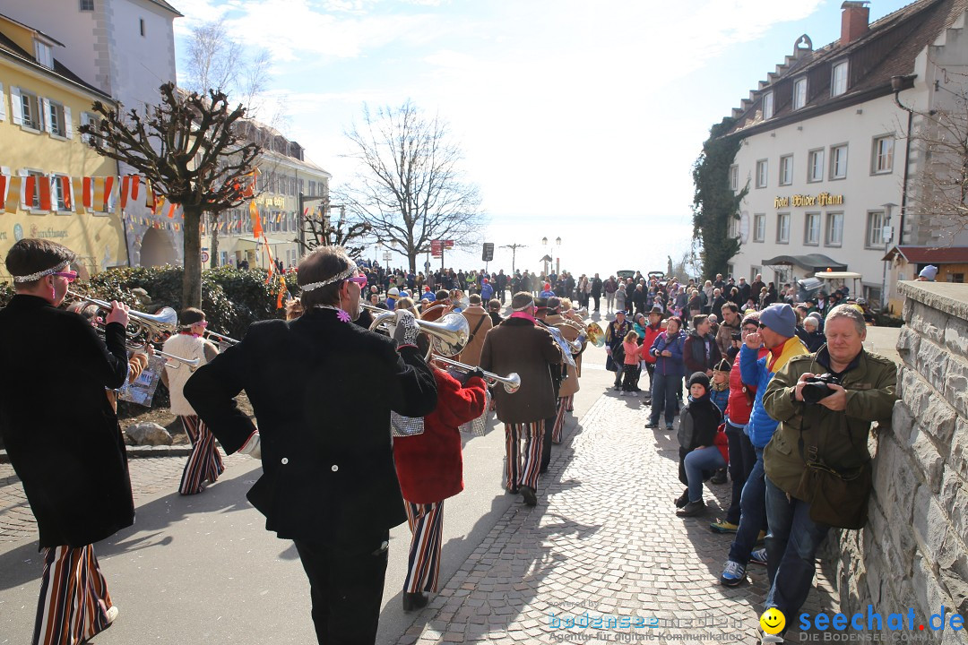 Fasnetsumzug mit Narrenbaumstellen: Meersburg am Bodensee, 24.02.2019