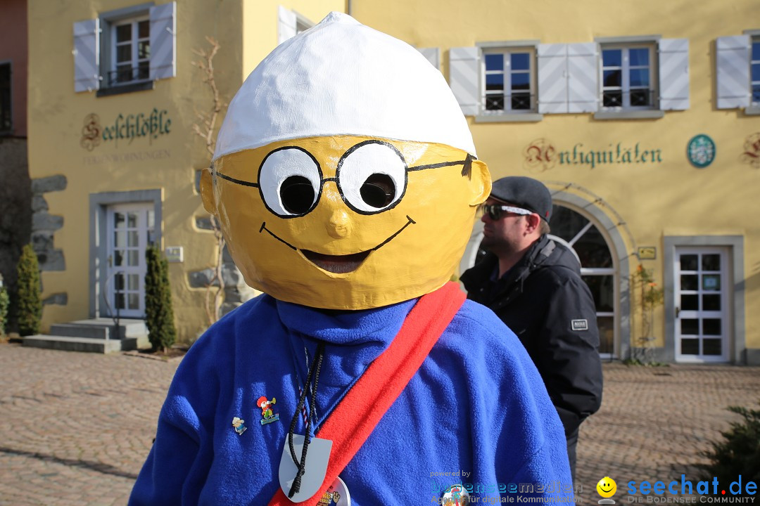 Fasnetsumzug mit Narrenbaumstellen: Meersburg am Bodensee, 24.02.2019