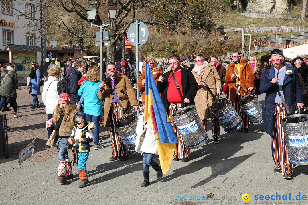 Fasnetsumzug mit Narrenbaumstellen: Meersburg am Bodensee, 24.02.2019