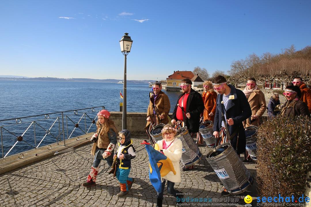 Fasnetsumzug mit Narrenbaumstellen: Meersburg am Bodensee, 24.02.2019