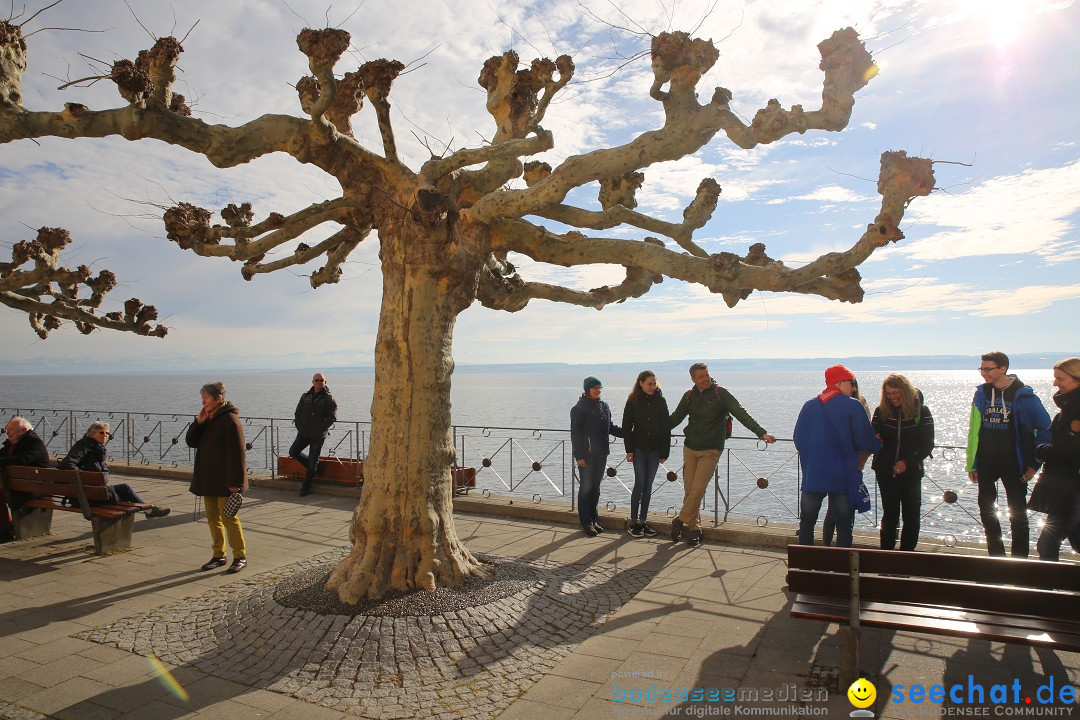 Fasnetsumzug mit Narrenbaumstellen: Meersburg am Bodensee, 24.02.2019