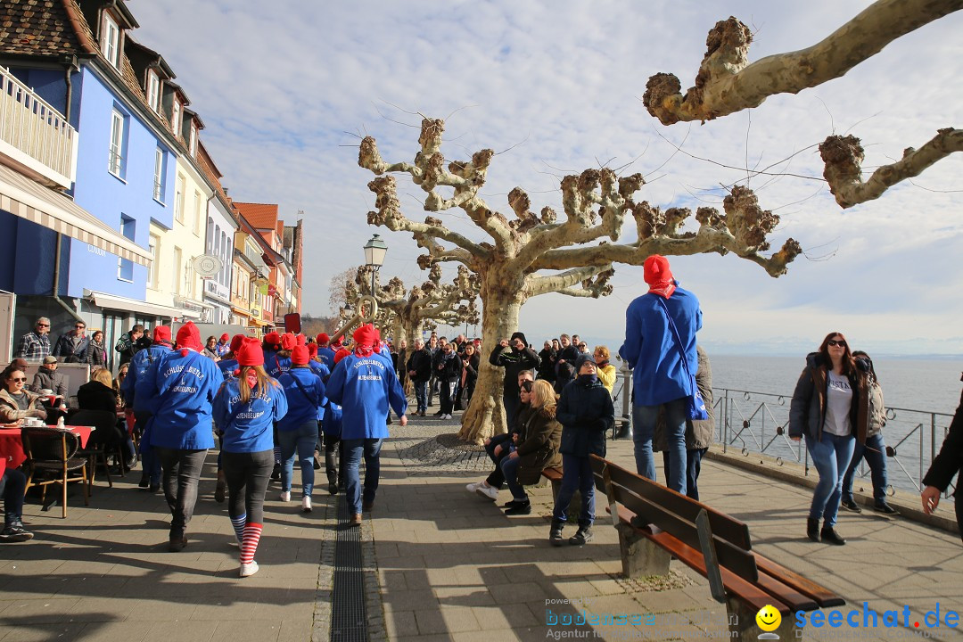 Fasnetsumzug mit Narrenbaumstellen: Meersburg am Bodensee, 24.02.2019