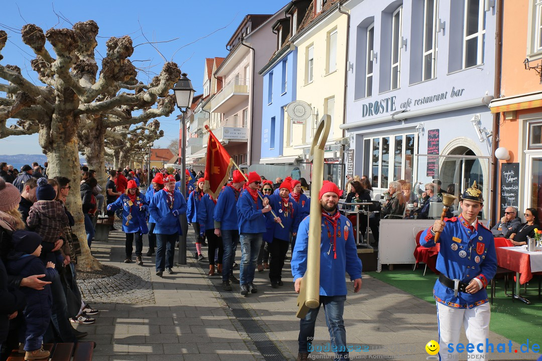 Fasnetsumzug mit Narrenbaumstellen: Meersburg am Bodensee, 24.02.2019