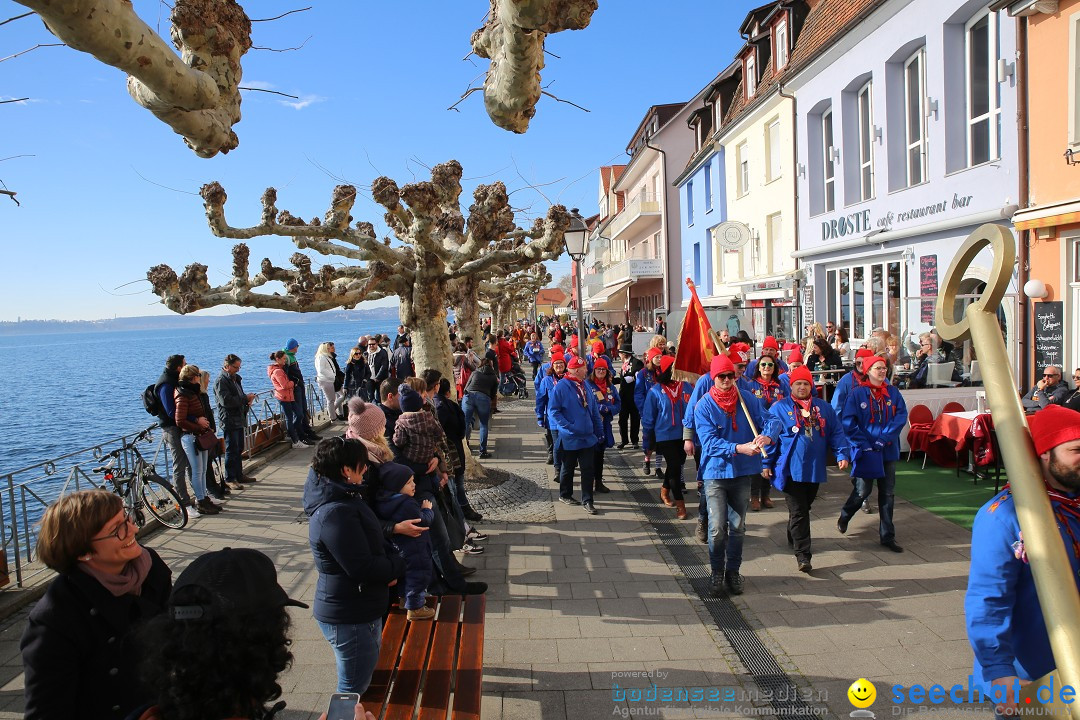 Fasnetsumzug mit Narrenbaumstellen: Meersburg am Bodensee, 24.02.2019