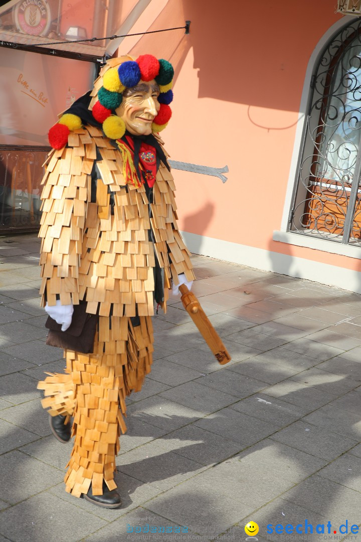 Fasnetsumzug mit Narrenbaumstellen: Meersburg am Bodensee, 24.02.2019