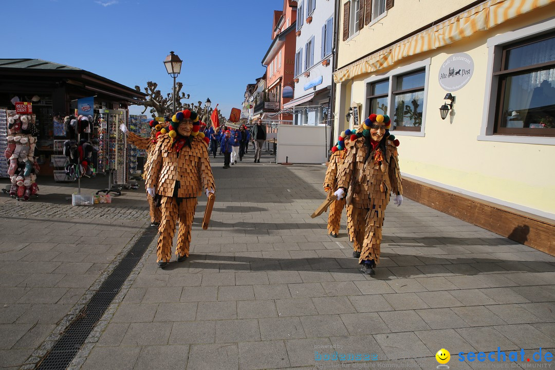 Fasnetsumzug mit Narrenbaumstellen: Meersburg am Bodensee, 24.02.2019