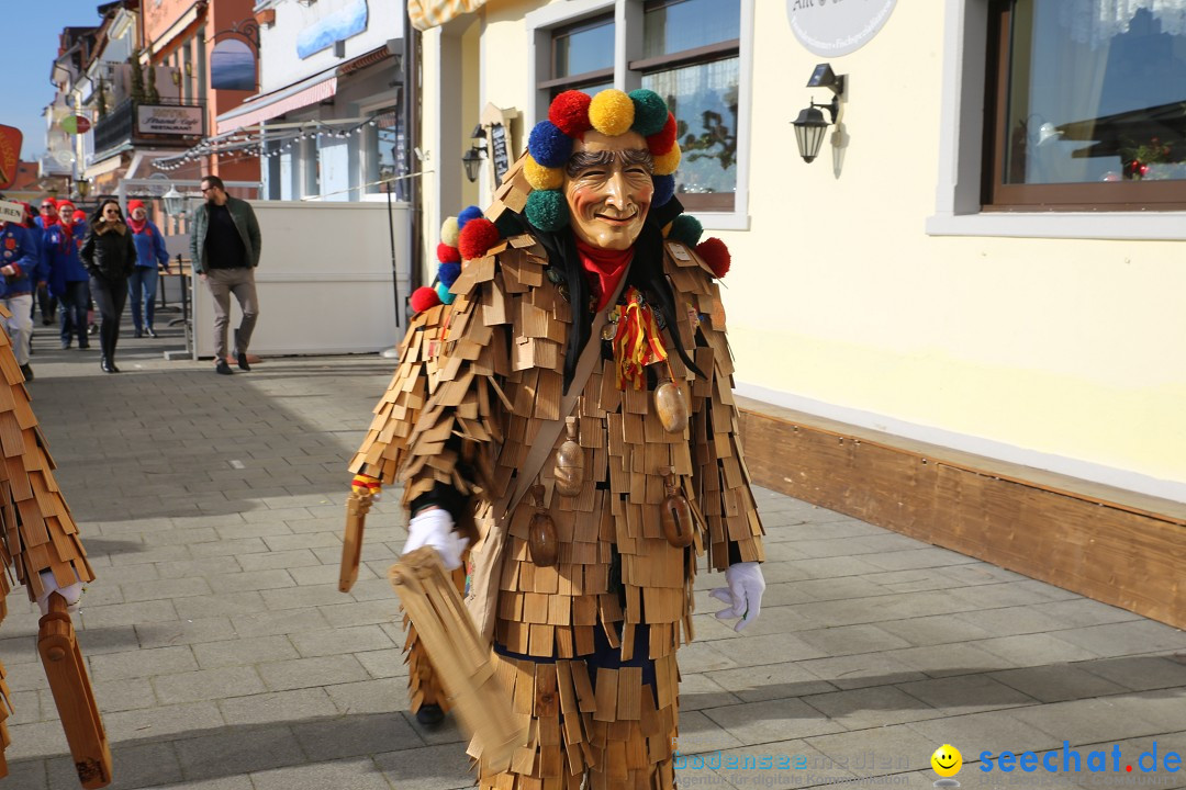 Fasnetsumzug mit Narrenbaumstellen: Meersburg am Bodensee, 24.02.2019