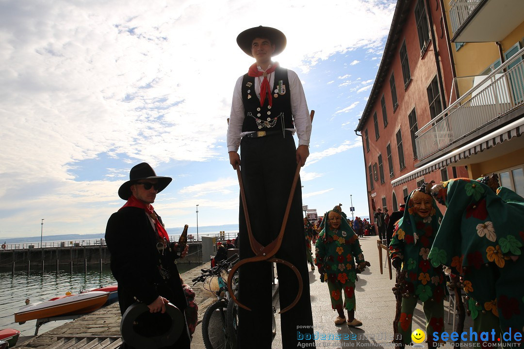 Fasnetsumzug mit Narrenbaumstellen: Meersburg am Bodensee, 24.02.2019