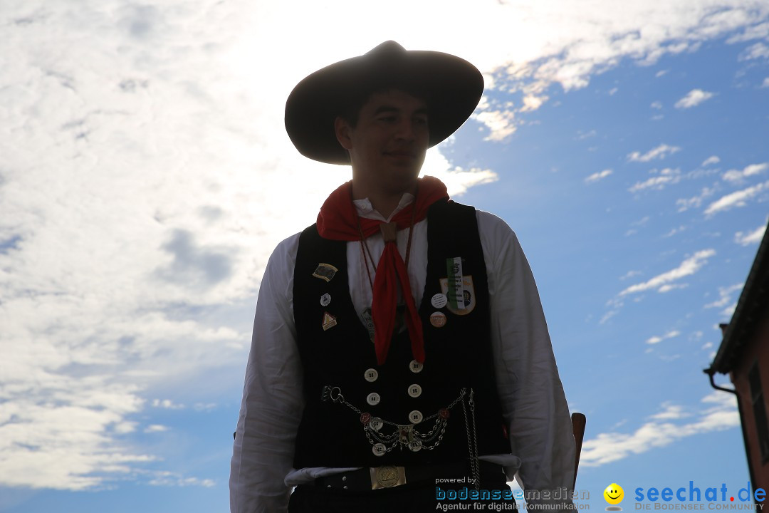 Fasnetsumzug mit Narrenbaumstellen: Meersburg am Bodensee, 24.02.2019