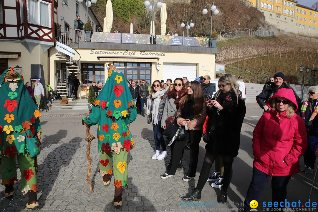 Fasnetsumzug mit Narrenbaumstellen: Meersburg am Bodensee, 24.02.2019