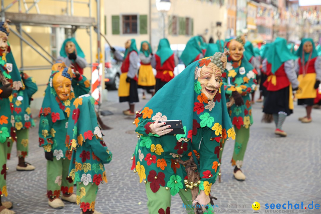 Fasnetsumzug mit Narrenbaumstellen: Meersburg am Bodensee, 24.02.2019