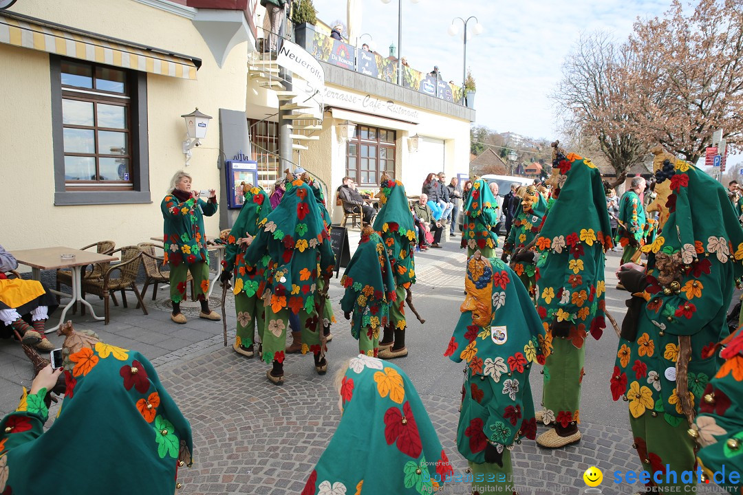 Fasnetsumzug mit Narrenbaumstellen: Meersburg am Bodensee, 24.02.2019